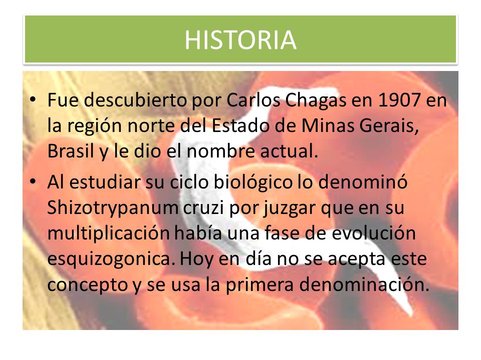 HISTORIA Fue descubierto por Carlos Chagas en 1907 en la región norte del Estado de Minas Gerais, Brasil y le dio el nombre actual.