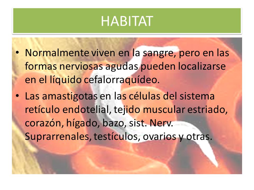 HABITAT Normalmente viven en la sangre, pero en las formas nerviosas agudas pueden localizarse en el líquido cefalorraquídeo.