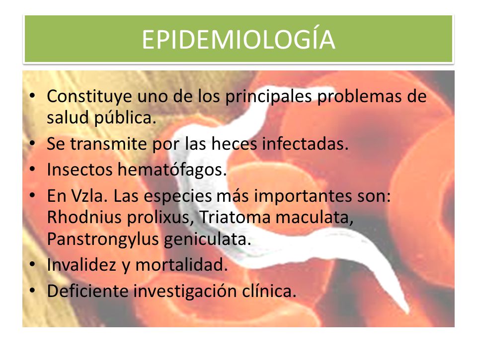 EPIDEMIOLOGÍA Constituye uno de los principales problemas de salud pública. Se transmite por las heces infectadas.