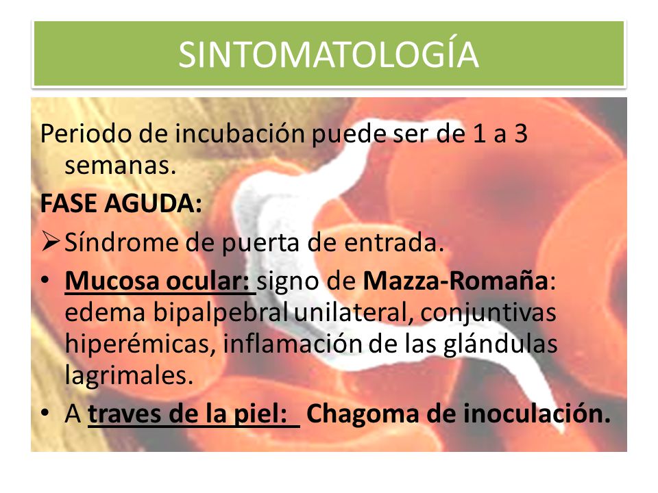 SINTOMATOLOGÍA Periodo de incubación puede ser de 1 a 3 semanas.