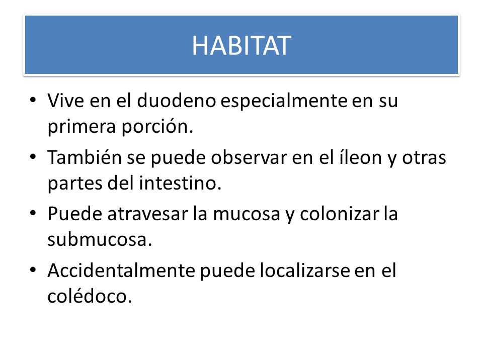 HABITAT Vive en el duodeno especialmente en su primera porción.