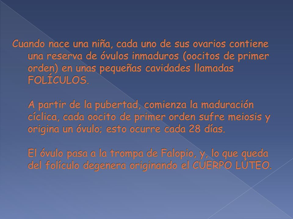Cuando nace una niña, cada uno de sus ovarios contiene una reserva de óvulos inmaduros (oocitos de primer orden) en unas pequeñas cavidades llamadas FOLÍCULOS.