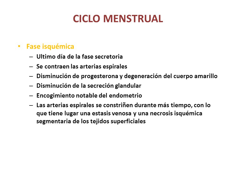 CICLO MENSTRUAL Fase isquémica Ultimo día de la fase secretoria