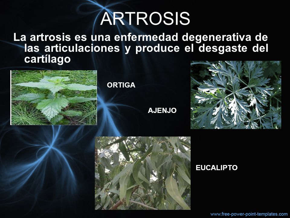 ARTROSIS La artrosis es una enfermedad degenerativa de las articulaciones y produce el desgaste del cartílago.