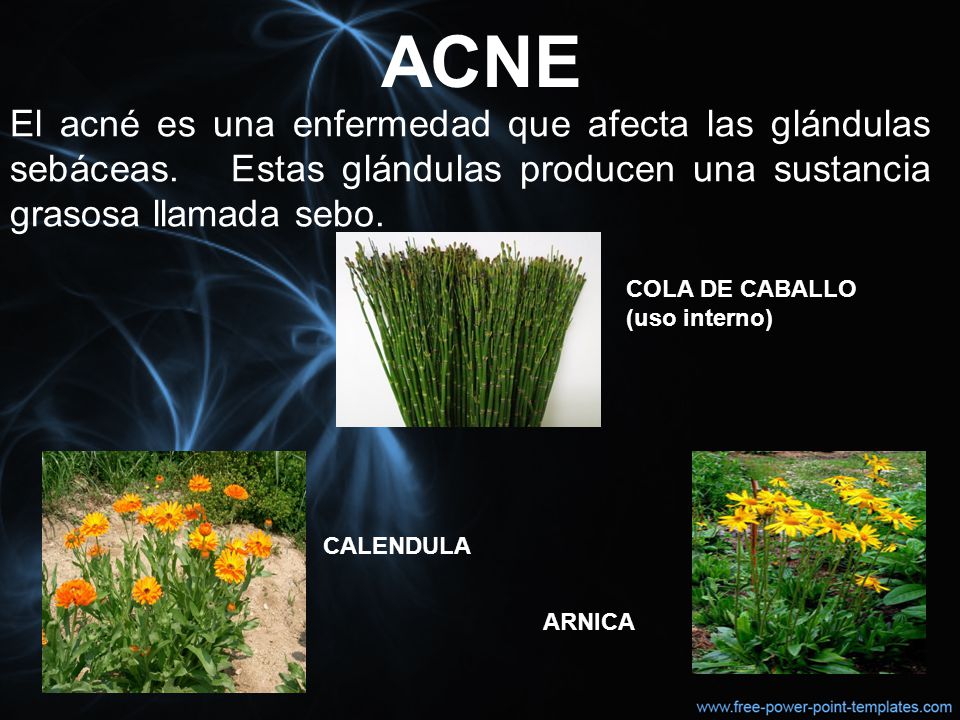 ACNE El acné es una enfermedad que afecta las glándulas sebáceas. Estas glándulas producen una sustancia grasosa llamada sebo.