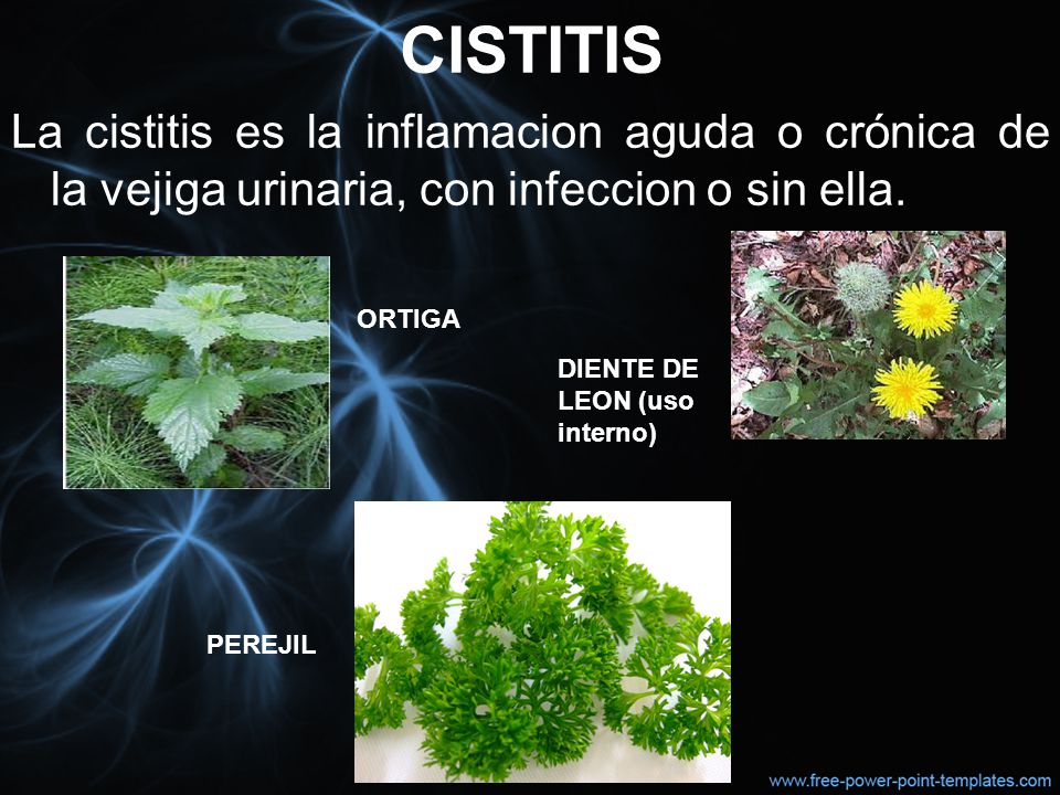 CISTITIS La cistitis es la inflamacion aguda o crónica de la vejiga urinaria, con infeccion o sin ella.