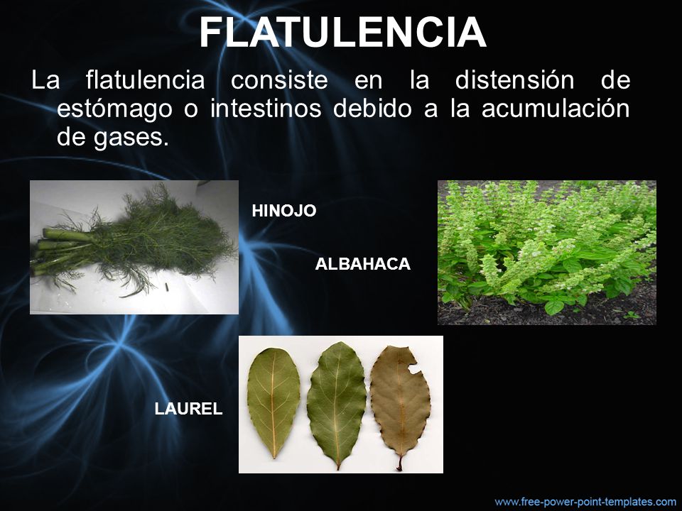 FLATULENCIA La flatulencia consiste en la distensión de estómago o intestinos debido a la acumulación de gases.
