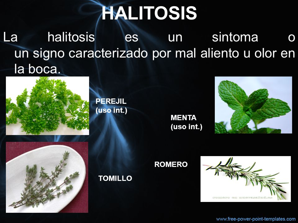 HALITOSIS La halitosis es un sintoma o un signo caracterizado por mal aliento u olor en la boca. PEREJIL (uso int.)