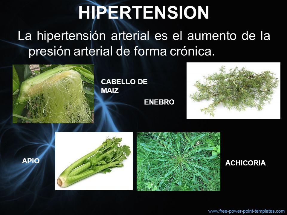 HIPERTENSION La hipertensión arterial es el aumento de la presión arterial de forma crónica. CABELLO DE MAIZ.