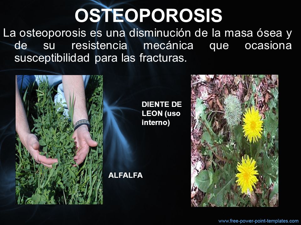 OSTEOPOROSIS La osteoporosis es una disminución de la masa ósea y de su resistencia mecánica que ocasiona susceptibilidad para las fracturas.