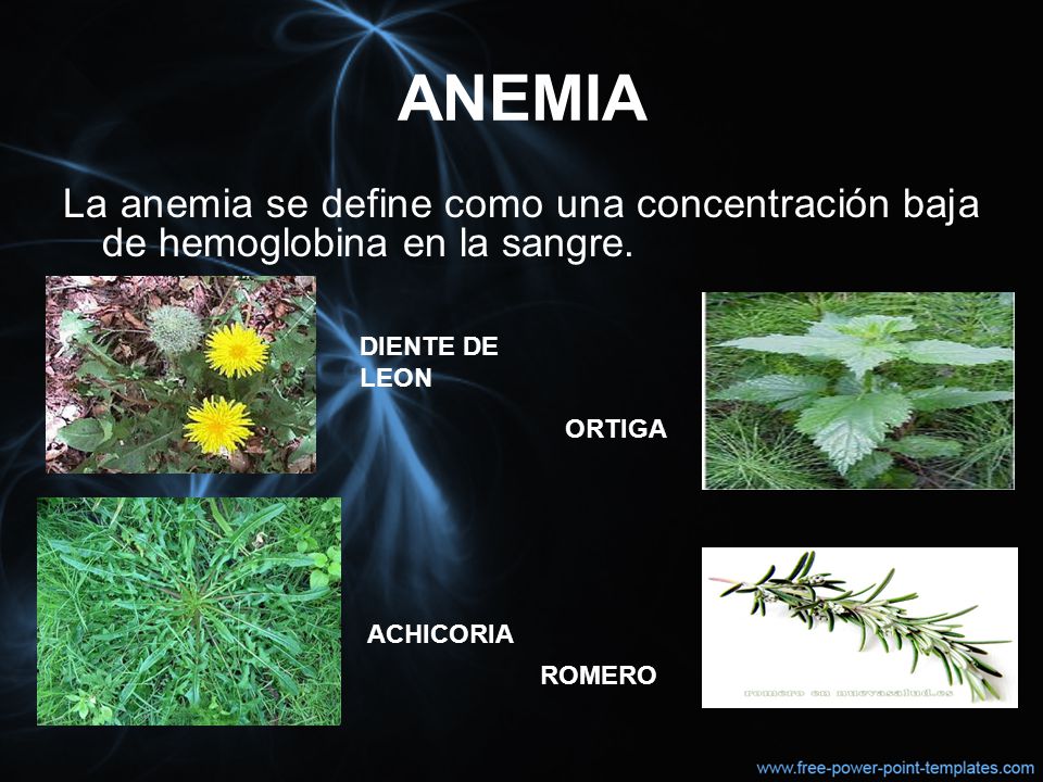 ANEMIA La anemia se define como una concentración baja de hemoglobina en la sangre. DIENTE DE LEON.