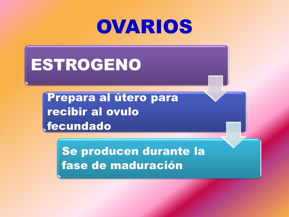 OVARIOS ESTROGENO Prepara al útero para recibir al ovulo fecundado