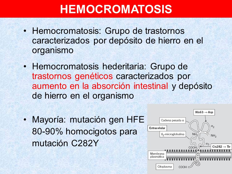 HEMOCROMATOSIS Hemocromatosis: Grupo de trastornos caracterizados por depósito de hierro en el organismo.