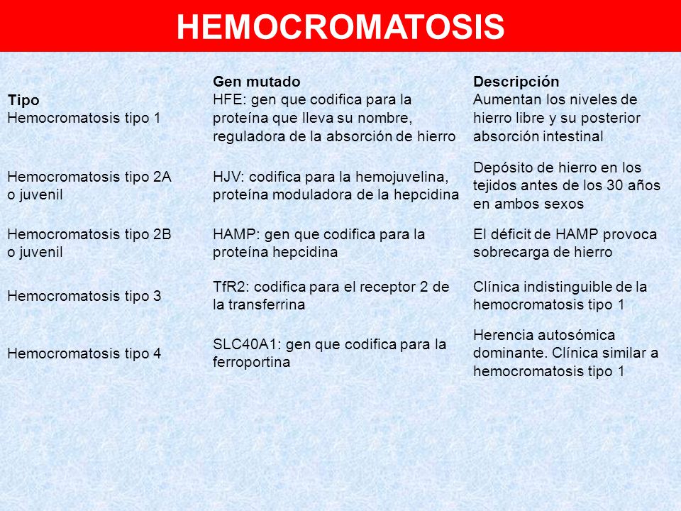 HEMOCROMATOSIS Tipo Hemocromatosis tipo 1 Gen mutado