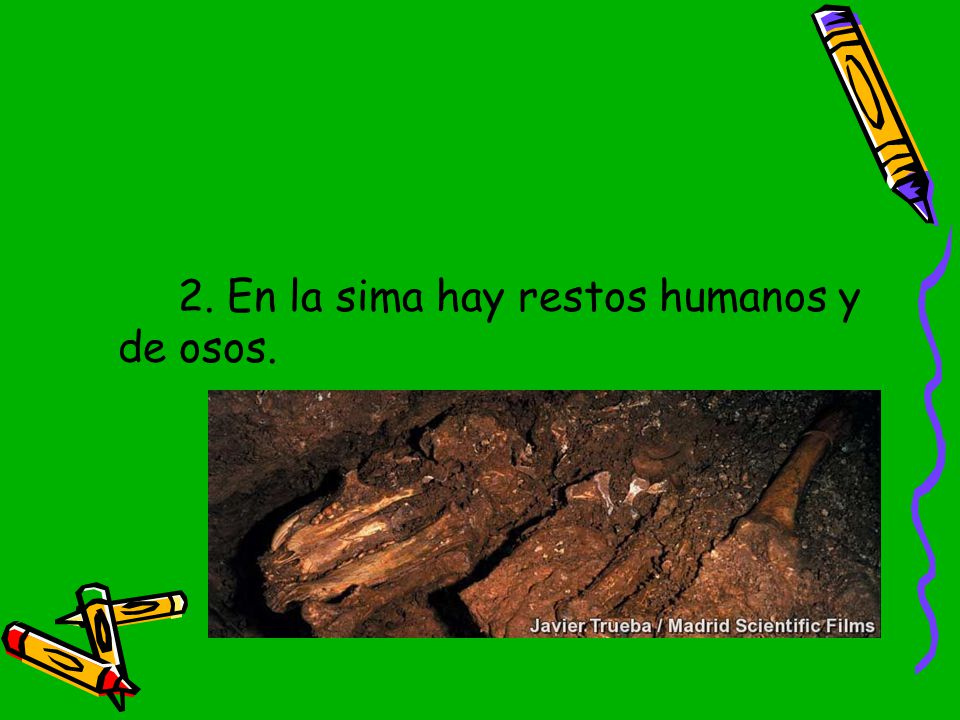 2. En la sima hay restos humanos y de osos.