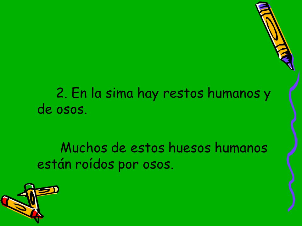 2. En la sima hay restos humanos y de osos.