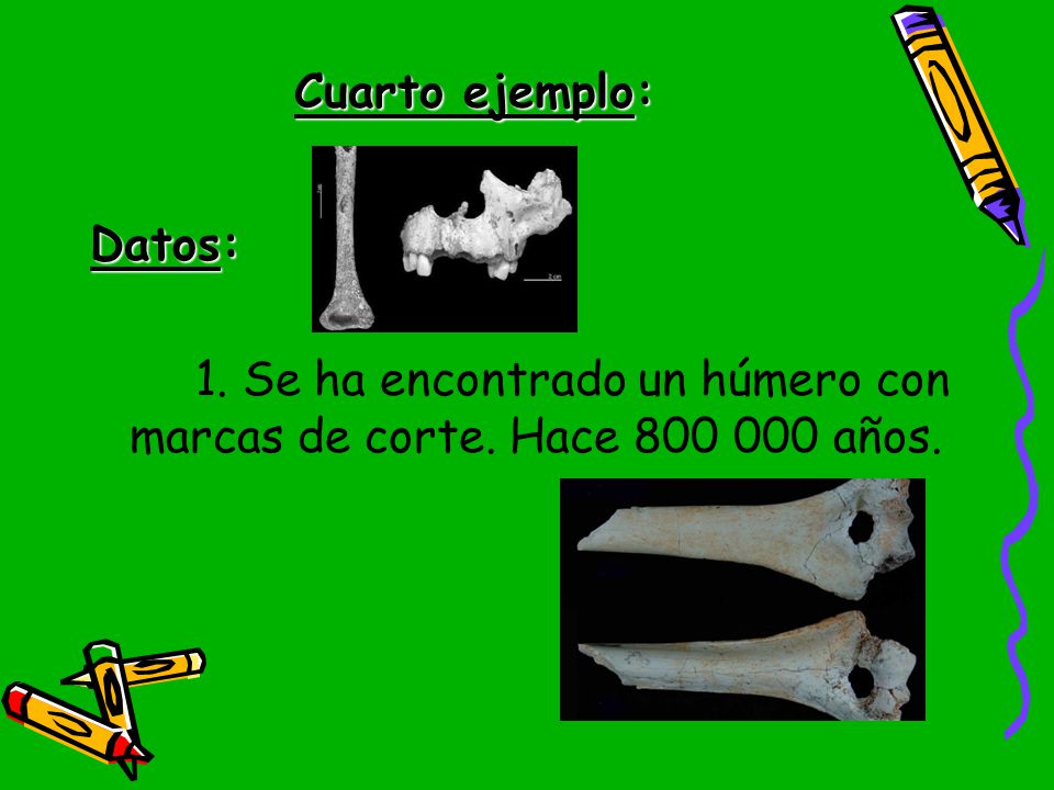 Cuarto ejemplo: Datos: 1. Se ha encontrado un húmero con marcas de corte. Hace años.