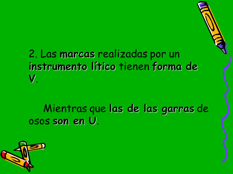 2. Las marcas realizadas por un instrumento lítico tienen forma de V.