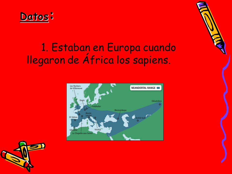 Datos: 1. Estaban en Europa cuando llegaron de África los sapiens.