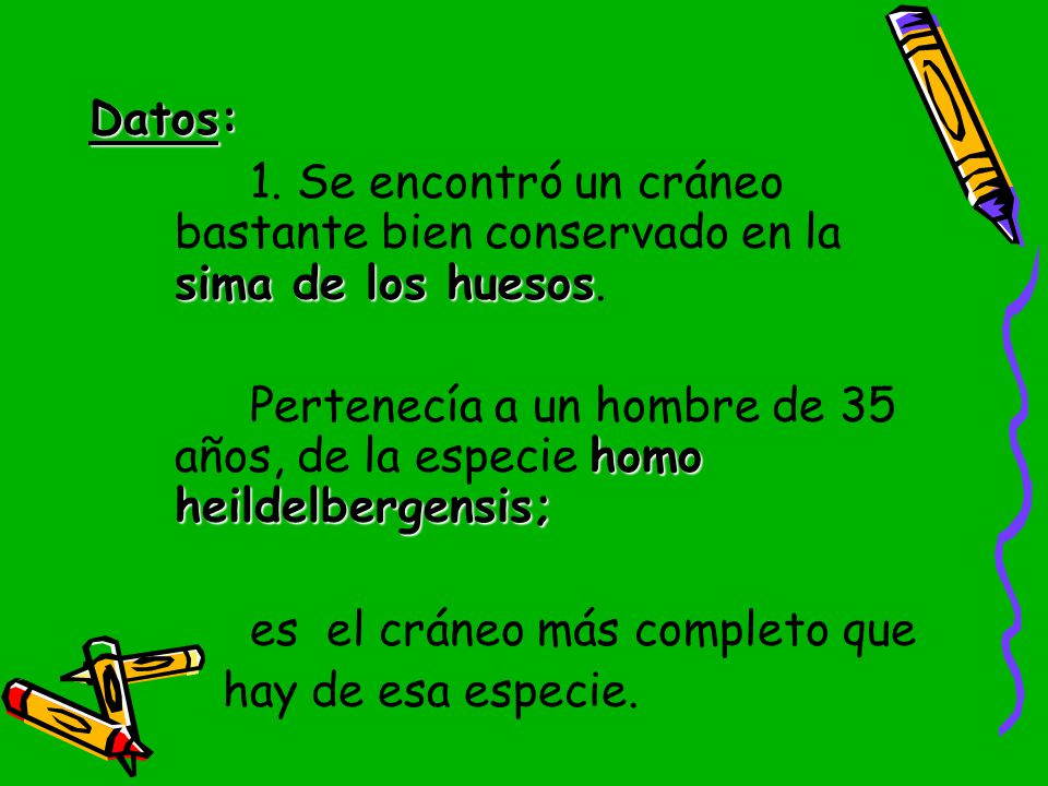 es el cráneo más completo que hay de esa especie.