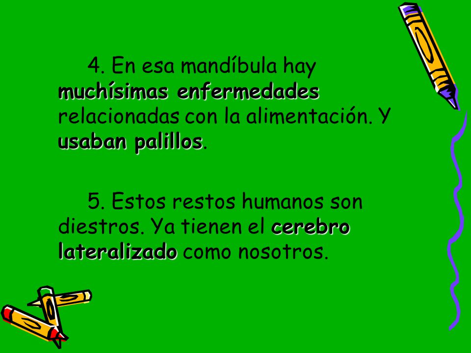 4. En esa mandíbula hay muchísimas enfermedades relacionadas con la alimentación. Y usaban palillos.