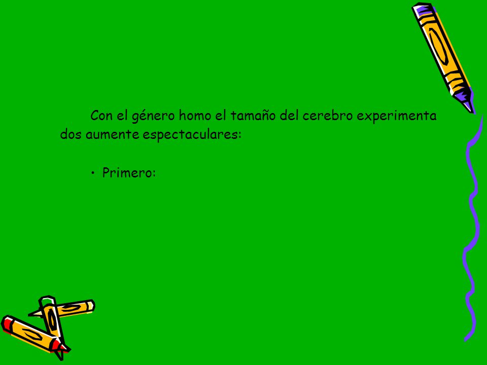 Con el género homo el tamaño del cerebro experimenta dos aumente espectaculares: