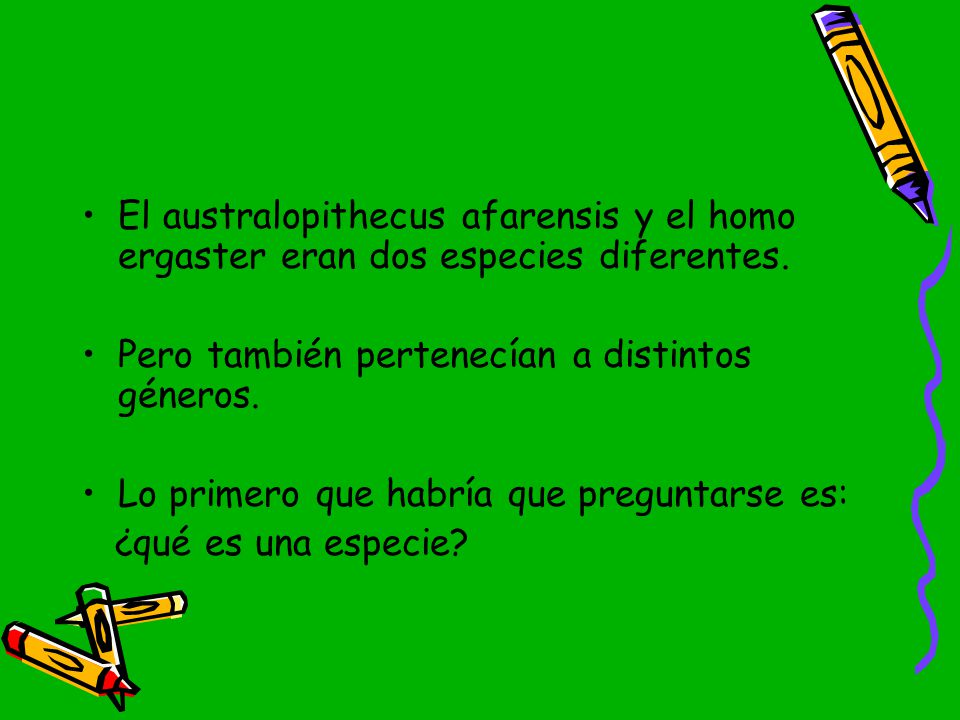 El australopithecus afarensis y el homo ergaster eran dos especies diferentes.