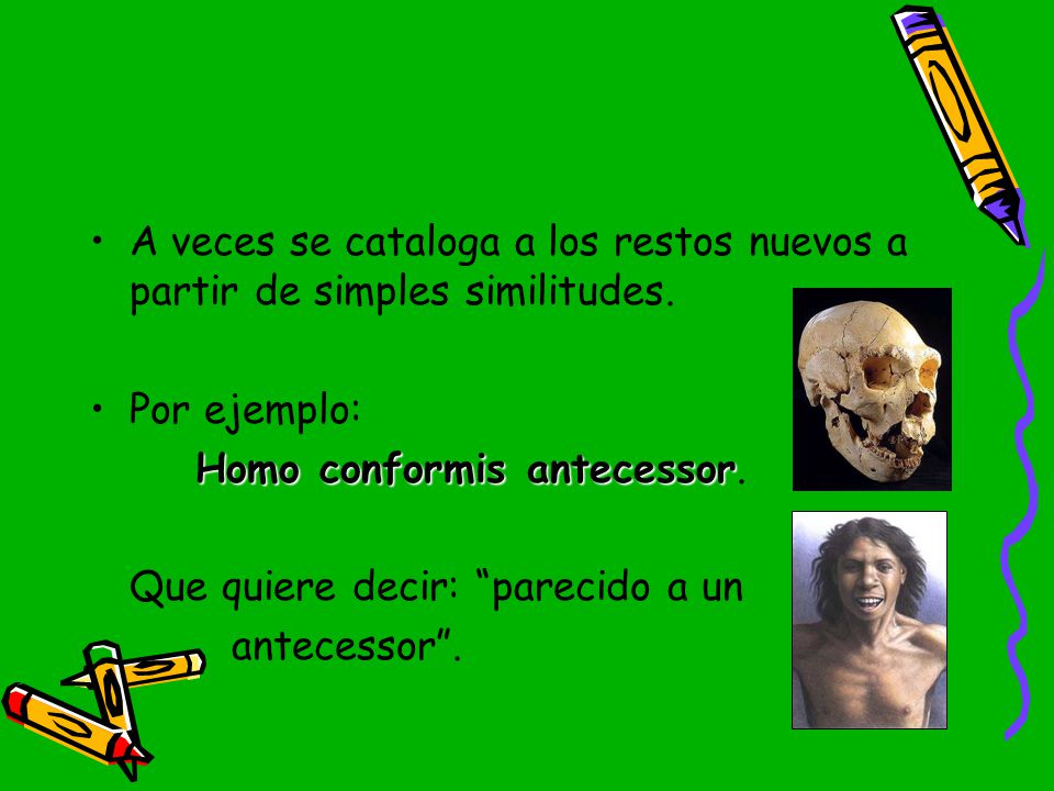 A veces se cataloga a los restos nuevos a partir de simples similitudes.