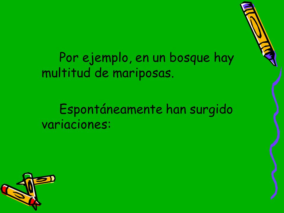 Por ejemplo, en un bosque hay multitud de mariposas.
