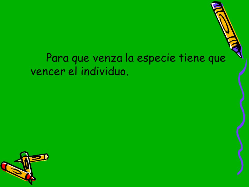 Para que venza la especie tiene que vencer el individuo.