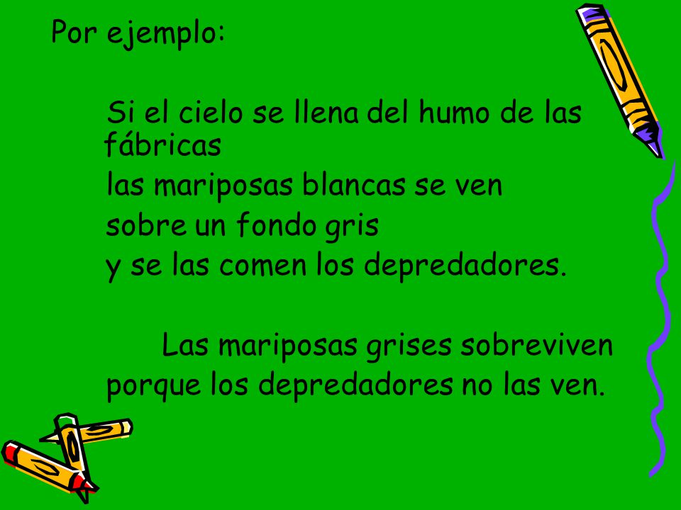 Por ejemplo: Si el cielo se llena del humo de las fábricas. las mariposas blancas se ven. sobre un fondo gris.