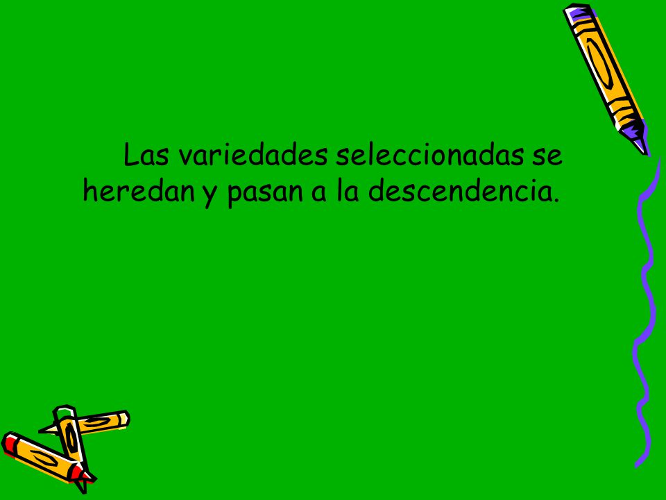 Las variedades seleccionadas se heredan y pasan a la descendencia.