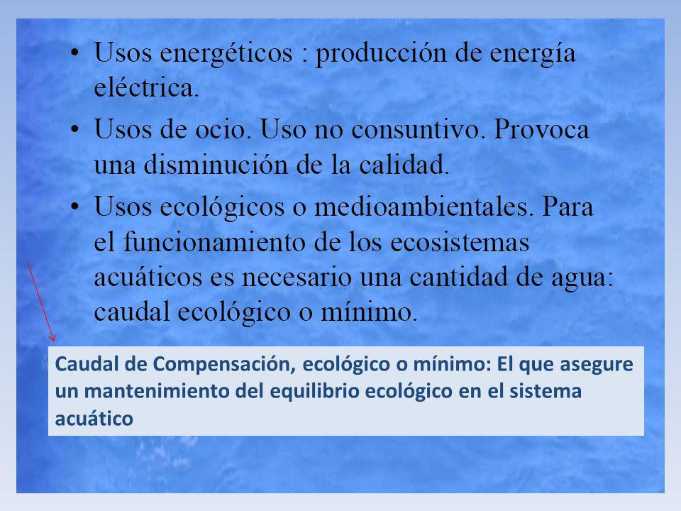 Caudal de Compensación, ecológico o mínimo: El que asegure un mantenimiento del equilibrio ecológico en el sistema acuático