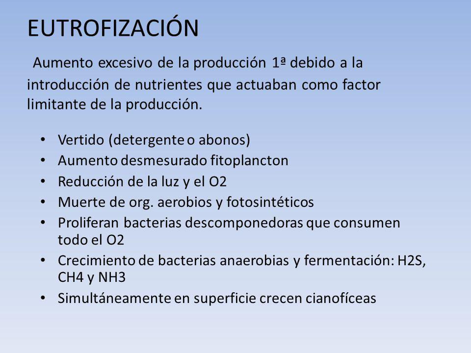 EUTROFIZACIÓN Aumento excesivo de la producción 1ª debido a la introducción de nutrientes que actuaban como factor limitante de la producción.