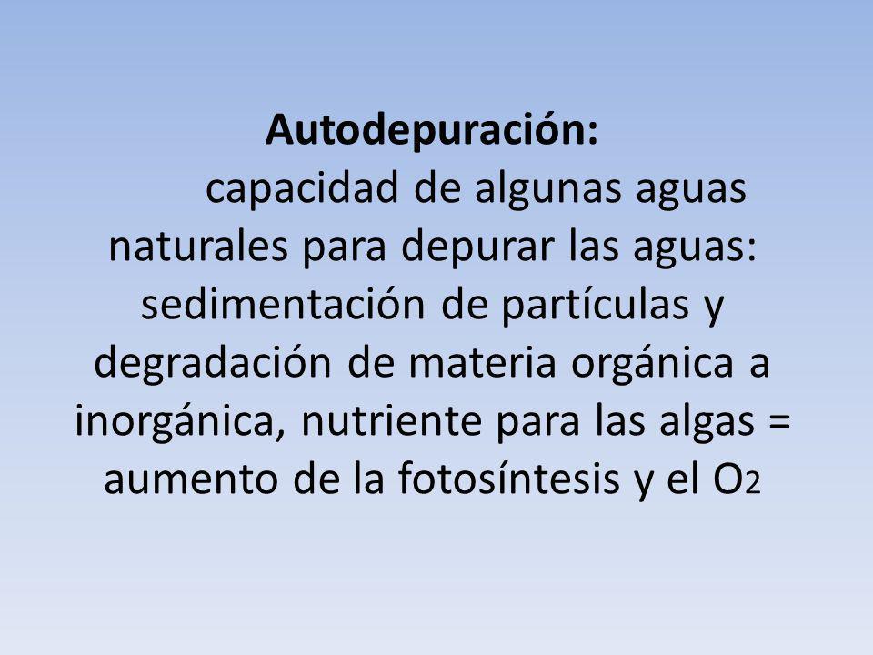 Autodepuración: capacidad de algunas aguas naturales para depurar las aguas: sedimentación de partículas y degradación de materia orgánica a inorgánica, nutriente para las algas = aumento de la fotosíntesis y el O2