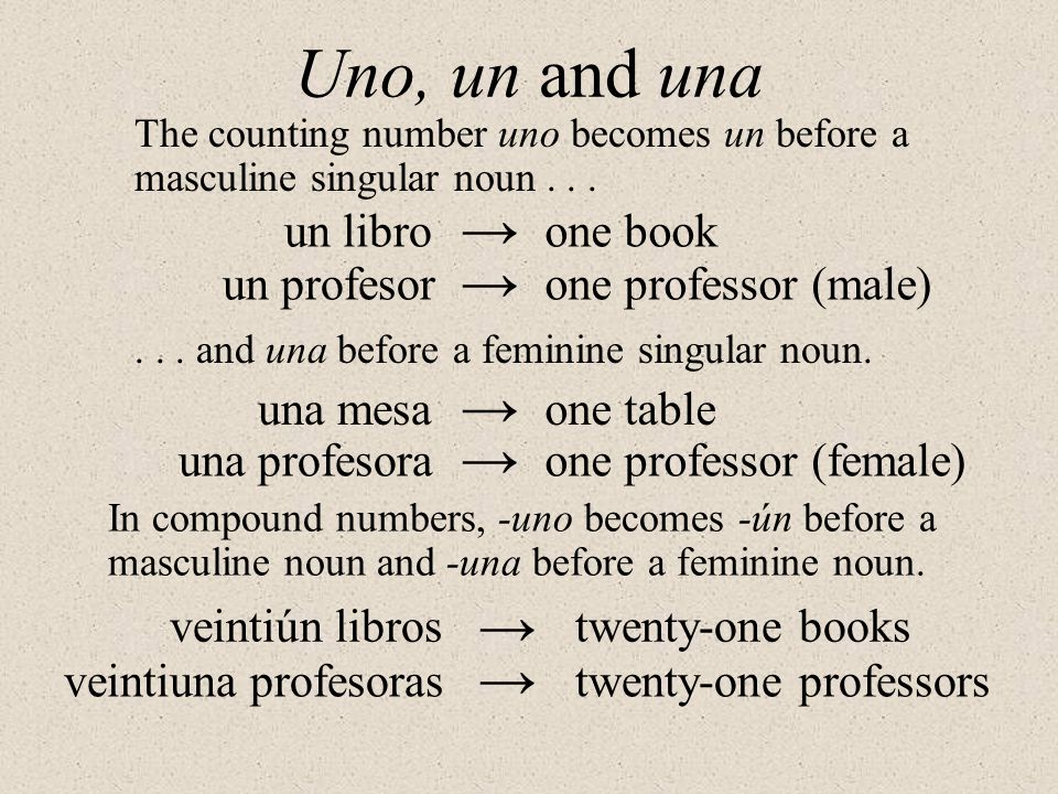 Uno, un and una → → → → → → un libro one book un profesor