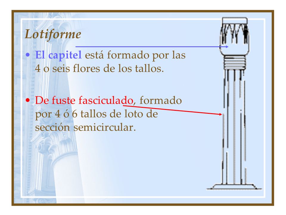 Lotiforme El capitel está formado por las 4 o seis flores de los tallos.