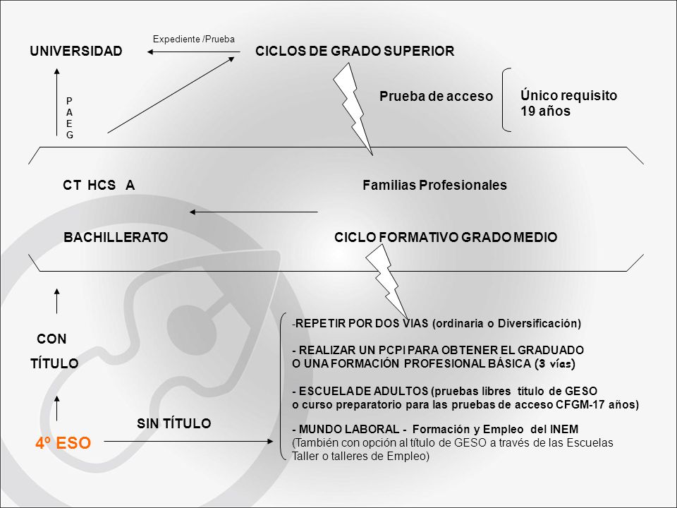 4º ESO UNIVERSIDAD CICLOS DE GRADO SUPERIOR Único requisito 19 años