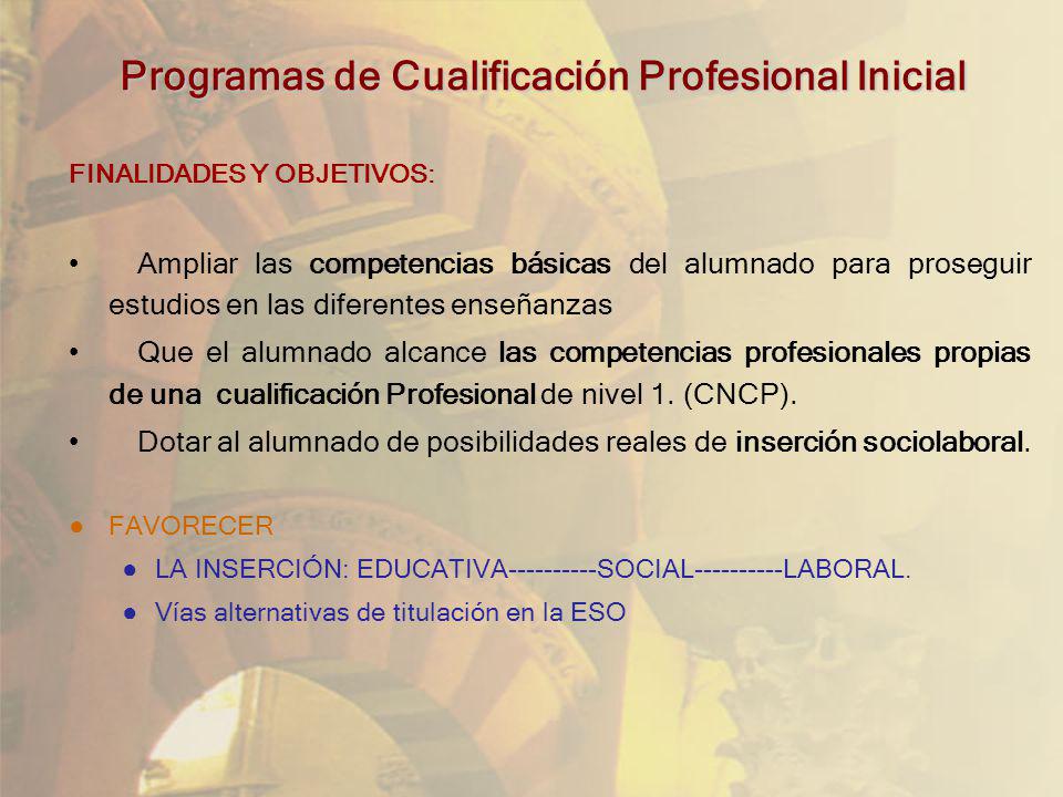 Programas de Cualificación Profesional Inicial