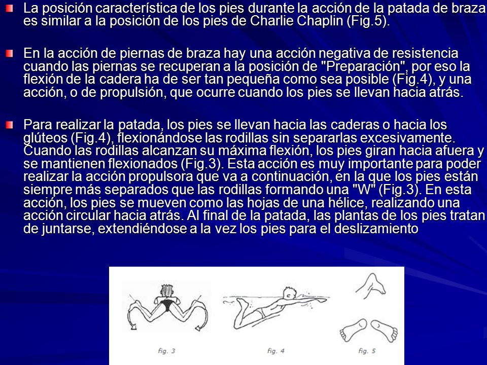 La posición característica de los pies durante la acción de la patada de braza es similar a la posición de los pies de Charlie Chaplin (Fig.5).