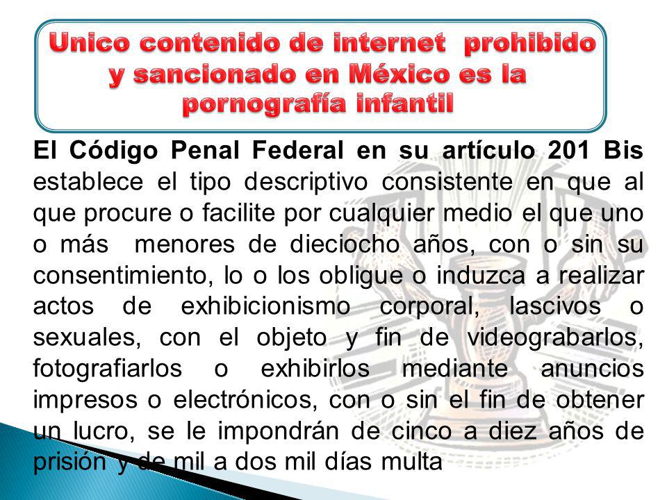 Unico contenido de internet prohibido y sancionado en México es la pornografía infantil