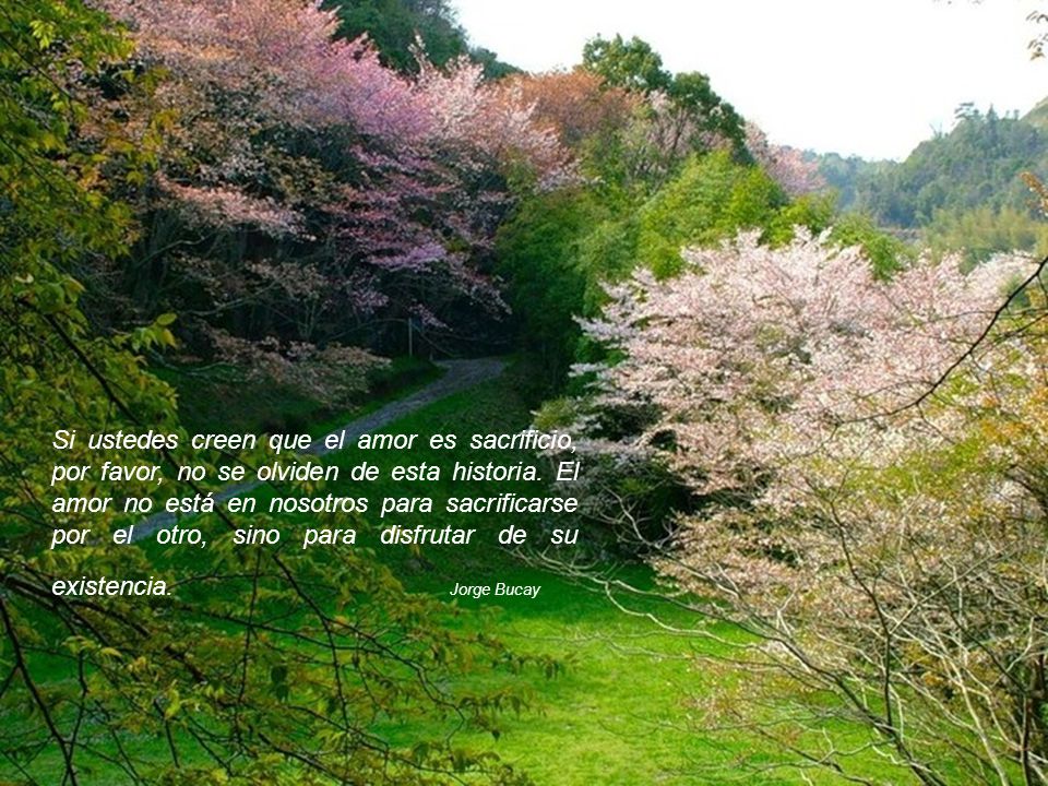 Si ustedes creen que el amor es sacrificio, por favor, no se olviden de esta historia.