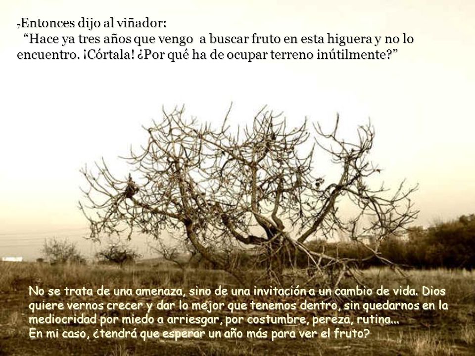 7Entonces dijo al viñador: Hace ya tres años que vengo a buscar fruto en esta higuera y no lo encuentro. ¡Córtala! ¿Por qué ha de ocupar terreno inútilmente