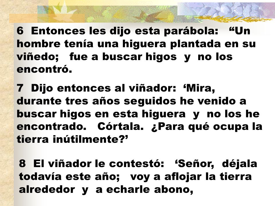6 Entonces les dijo esta parábola: Un hombre tenía una higuera plantada en su viñedo; fue a buscar higos y no los encontró.
