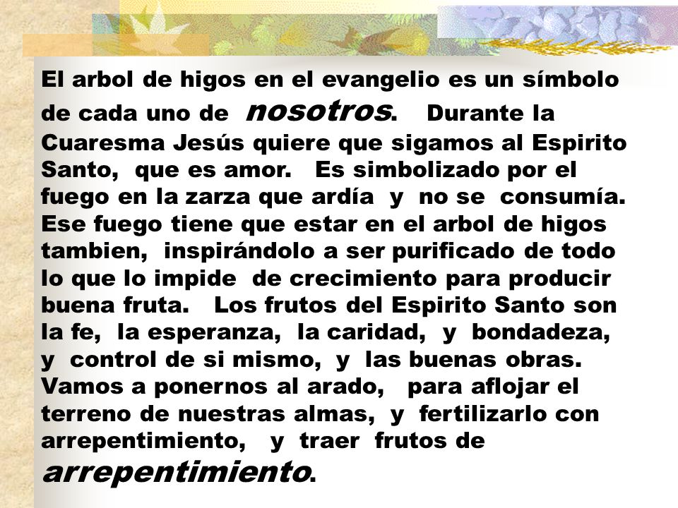 El arbol de higos en el evangelio es un símbolo de cada uno de nosotros.