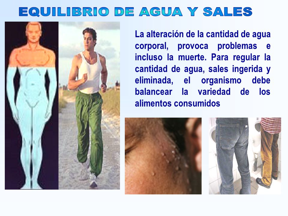 EQUILIBRIO DE AGUA Y SALES