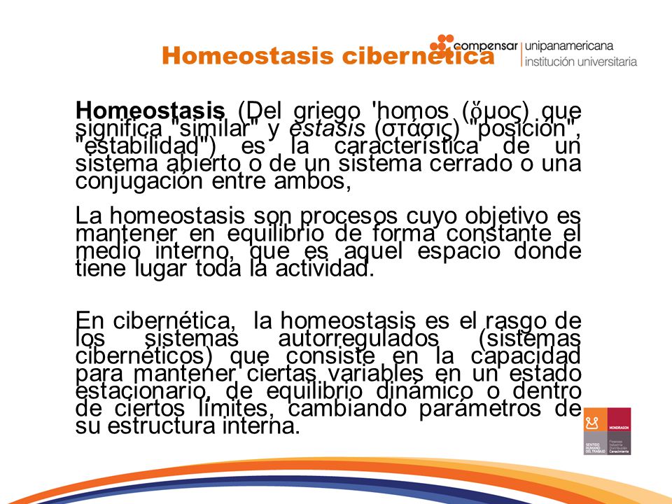 Homeostasis cibernética