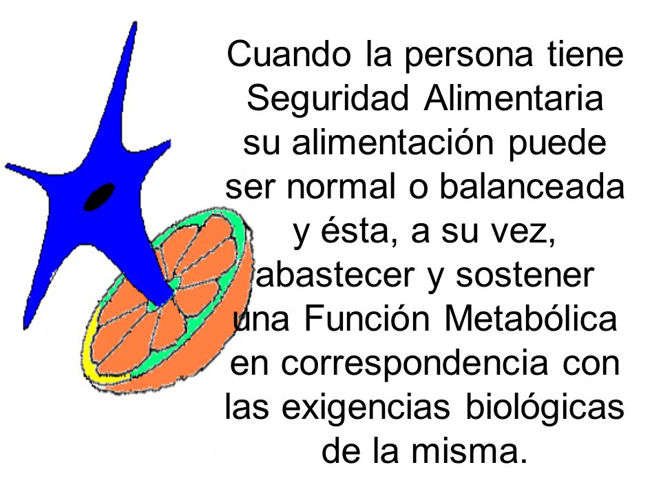 Cuando la persona tiene Seguridad Alimentaria su alimentación puede ser normal o balanceada y ésta, a su vez, abastecer y sostener una Función Metabólica en correspondencia con las exigencias biológicas de la misma.