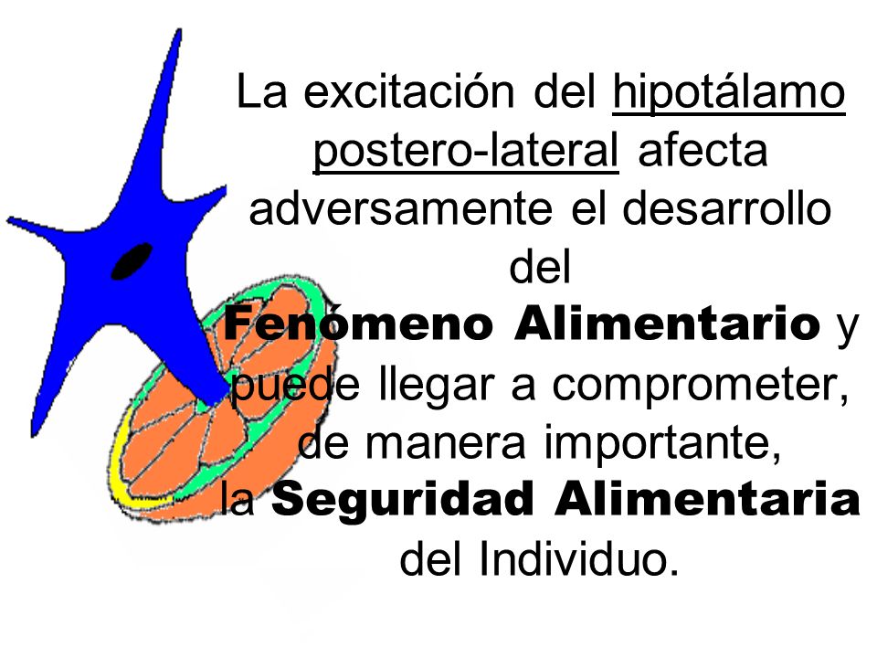 La excitación del hipotálamo postero-lateral afecta adversamente el desarrollo del Fenómeno Alimentario y puede llegar a comprometer, de manera importante, la Seguridad Alimentaria del Individuo.