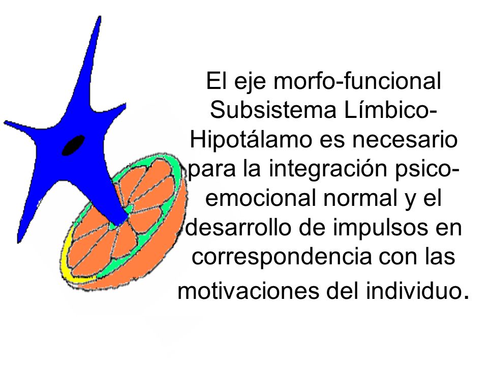 El eje morfo-funcional Subsistema Límbico-Hipotálamo es necesario para la integración psico-emocional normal y el desarrollo de impulsos en correspondencia con las motivaciones del individuo.